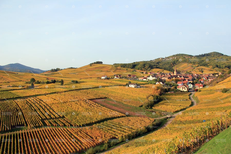 Quel vin choisir pour accompagner son Baeckeoffe de viande ?